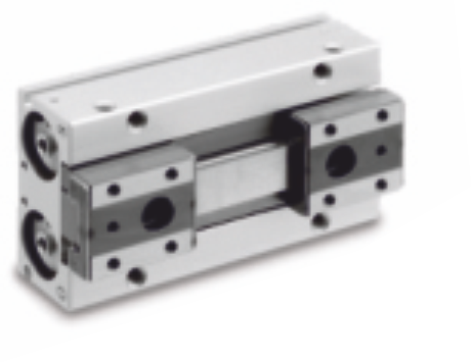 Parallel Air Gripper (Linear guide Type) : PGF Series